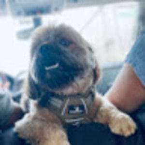 Meet your Posher, Jeancarlo